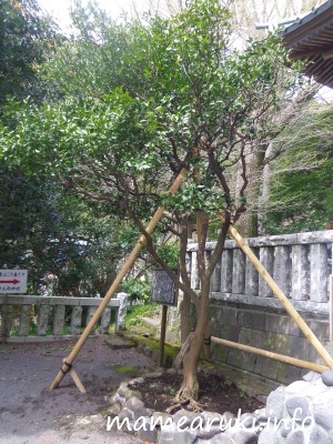 三島神社5